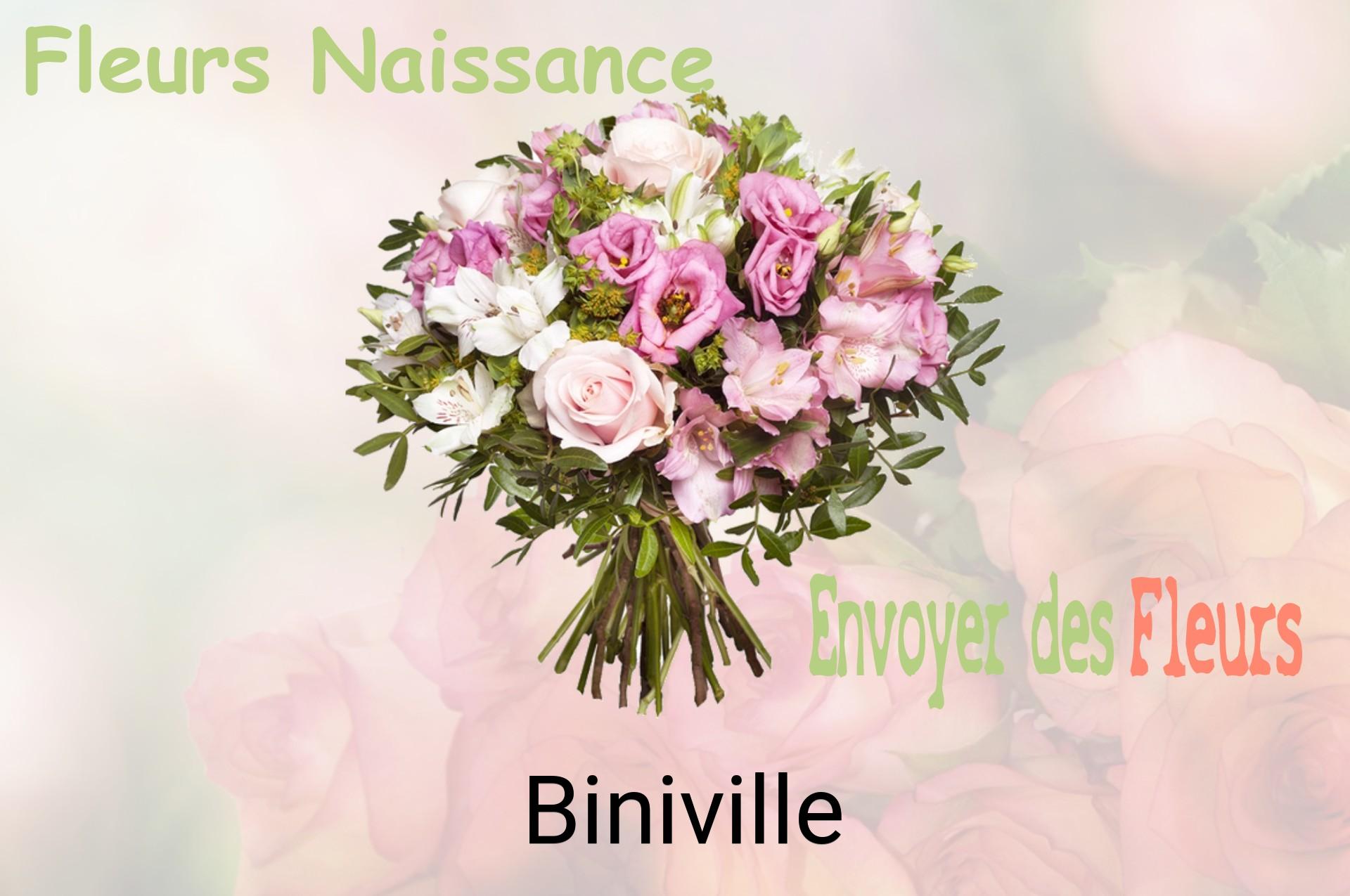 Bouquet de fleurs de naissance livré à Biniville